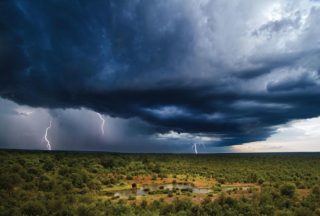 Victoria Falls Safari Lodge Bagian luar foto